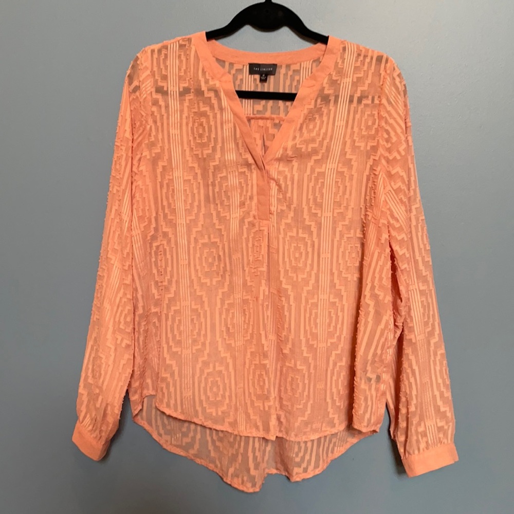 The Limited long sleeve blouse